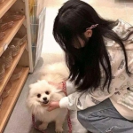 萌仙缘手游